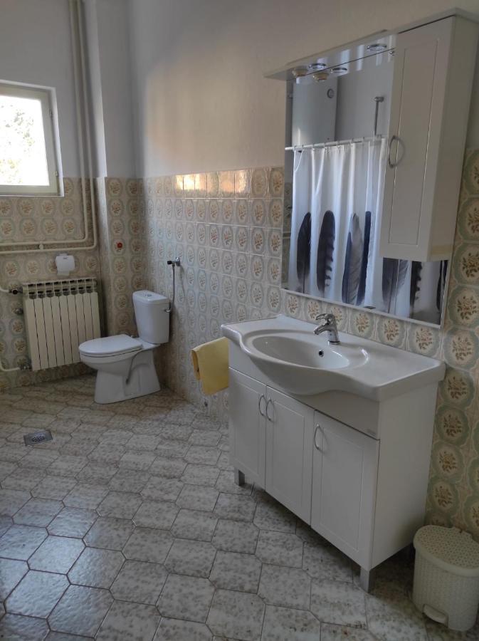 Apartman Vlado Zadar Exterior foto